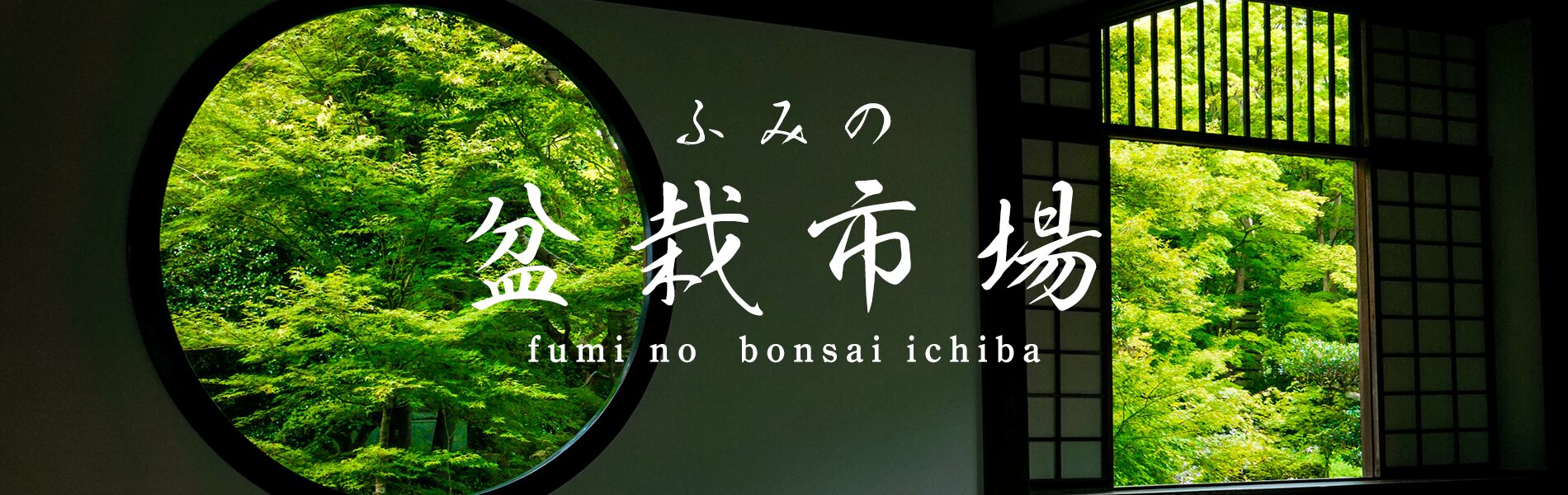 ふみの盆栽市場のアイキャッチ画像です